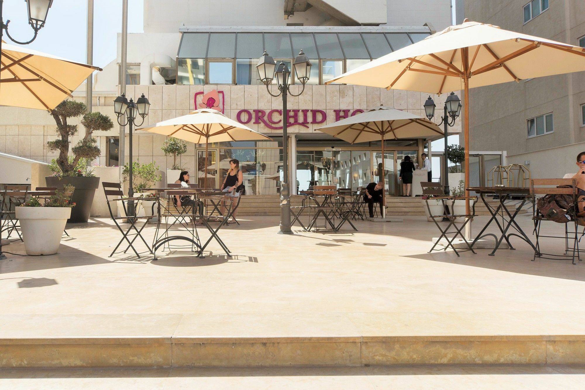 Excellent Beachfront Apt W/ Pool Access By Sea N' Rent Tel Aviv Eksteriør billede
